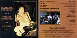 Collage 72 12 Party Stains - A Weekly Update from Stronger Than Dirt