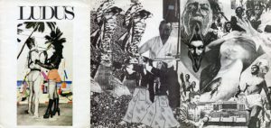 Collage 1 72 Party Stains - A Weekly Update from Stronger Than Dirt