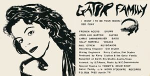 Collage 5 Party Stains - A Weekly Update from Stronger Than Dirt