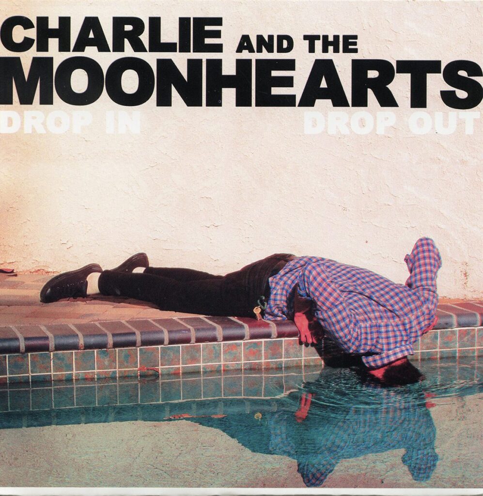 Insta Party Stains - A Weekly Update from Stronger Than Dirt