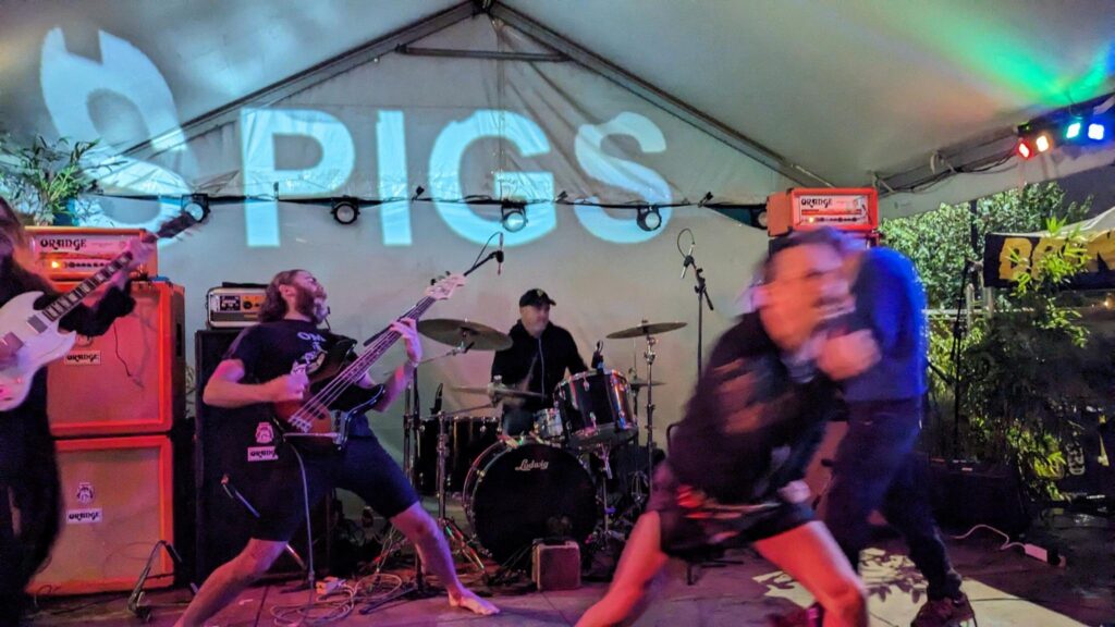 PIGSX7 LEVITATION 3 An Interview with Pigs Pigs Pigs Pigs Pigs Pigs Pigs