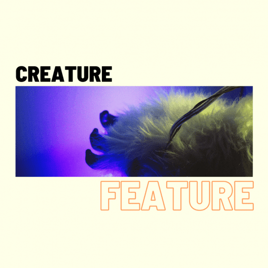 Creature Feature