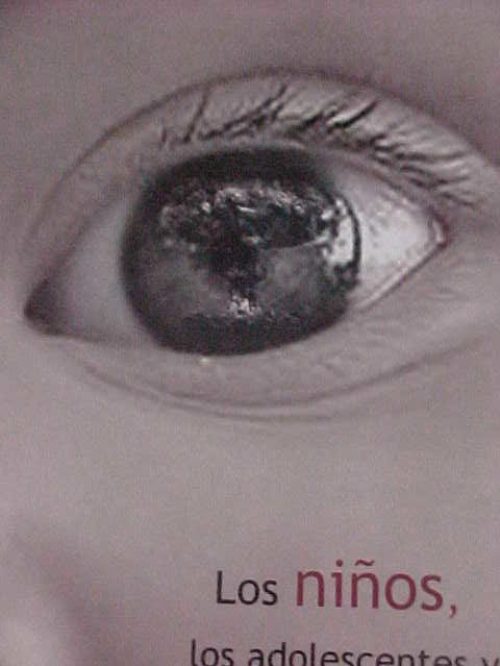 MVC-030S - pedro gatos