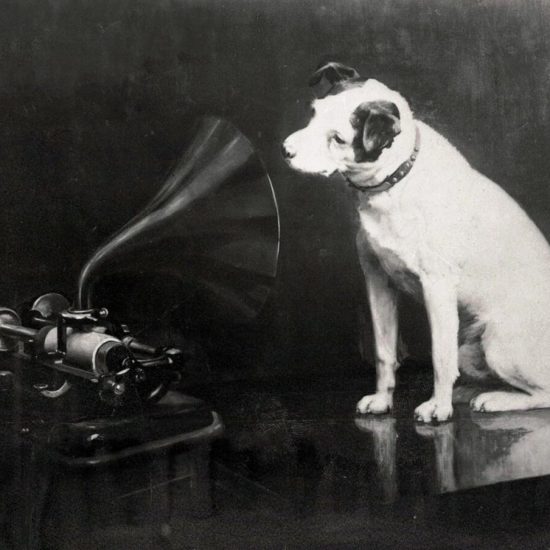 Nipper