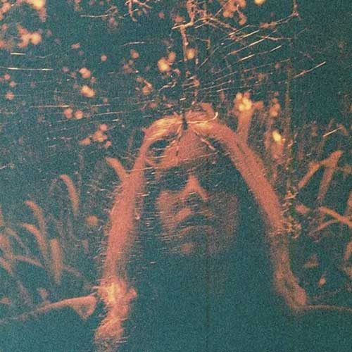 Peripheral Vision Album Cover