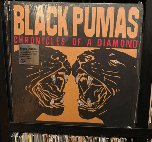 Screen Shot 2023-11-02 at 12.25.30 PM