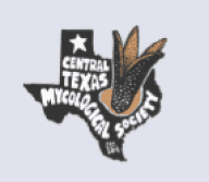 Screenshot 2026-03-31 085741