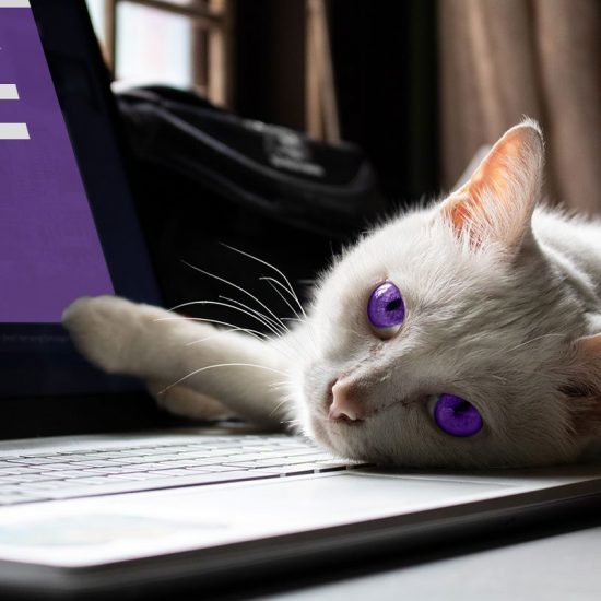 How To Listen Online